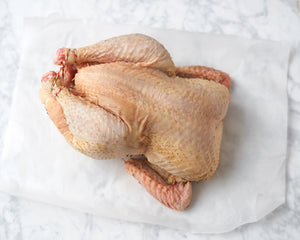 Fresh chicken delivered to your door